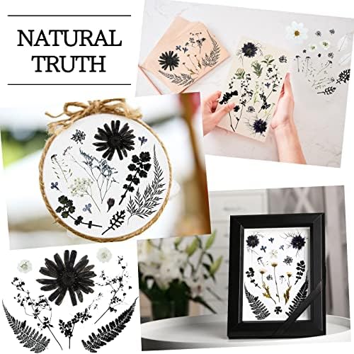 Nuanchu Black White Dried Pressed Flowers for Craft Resin, Halloween DIY
