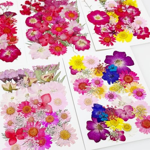 Cayway 170 PCS Dried Pressed Flower, Pressed Flowers and Leaves for Resin, Real Nature Pressing Floral Leaves for DIY Craft, Jewelry Making, Candle Scrapbooking Supplies, Red