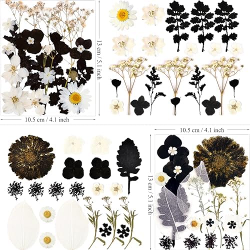 MIKIYA 84Pcs Black Dried Pressed Flowers for Resin Molds, Bulk Real Natural Dry Floral for DIY Art Crafts, Epoxy Jewelry, Candle, Soap Making, Nails Decor, Phone Case
