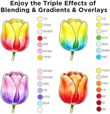 SFAIH Alcohol Markers Set 321 Colors, Chisel & Fine Ultimate Master Series | Seamless Blended, Storage Case, Adult Coloring Books Illustration Sketch Design Drawing, Colorless Blender, Art Lovers Artist