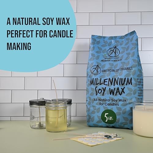 American Soy Organics Millennium Soy Beads for Candle Making - Natural Supplies - Paraffin-Free, Beeswax-Free Candle Wax for Container Candles, Tealights and Wax Melts, 10 lbs (Pack of 2)