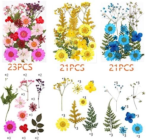 Cayway 8 Pack Dried Flowers for Resin Molds, Real Natural Dried Pressed Flowers, Natural Dried Pressed Leaves with Butterfly Sticker for Scrapbooking DIY Art Crafts, Jewelry