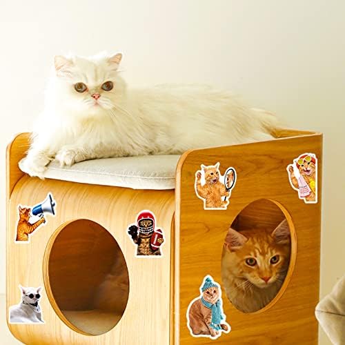 Cat Stickers for Kids Teens Girls Adults, 100 Pcs Cute Cat Stickers, Vinyl Waterproof Animal Sticker for Water Bottle, Laptop, Luggage, Phone, Skateboard