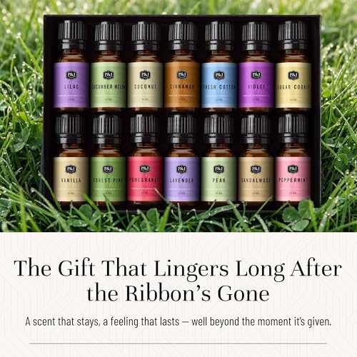 P&J Trading Fragrance Oil Favorite Set | Candle Scents for Candle Making, Freshie Scents, Soap Making Supplies, Diffuser Oil Scents
