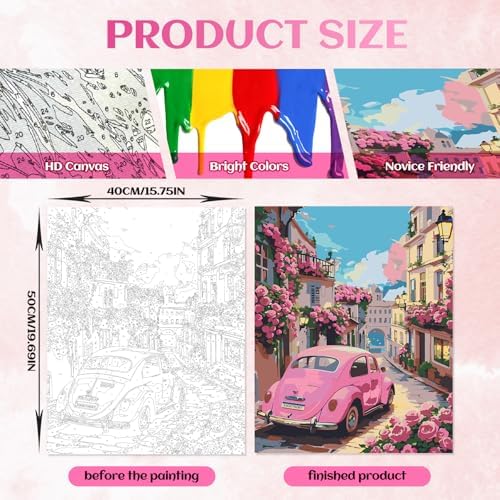 Vintage Pink Car Paint by Numbers for Adults, 16x20" DIY Rose Floral Kit