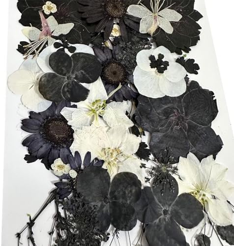 Cayway 2 Pack Dried Pressed Flowers for Resin Molds, Black Real Pressed Flowers Dry Leaves Kit Natural Dried Pressed Leaves for Art Crafts Resin Scrapbook Supplies Soap Candle DIY, Style A