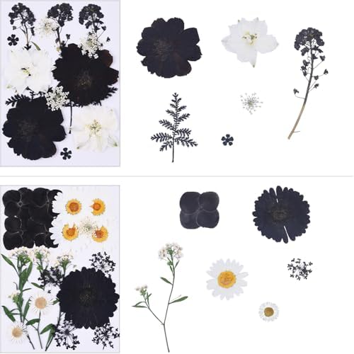 115Pcs Black Dried Pressed Flowers for Crafts,Xinxinran Dry Flowers Kit for Resin Molds,Epoxy Resin Accessories,Bookmark,Nails, Jewelry Molds,Candle Making Supplies,Soap,Frame