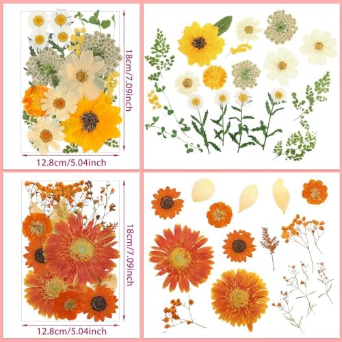 Nuanchu Dried Flowers Pressed for Crafts Resin Molds DIY, Large Sunflower