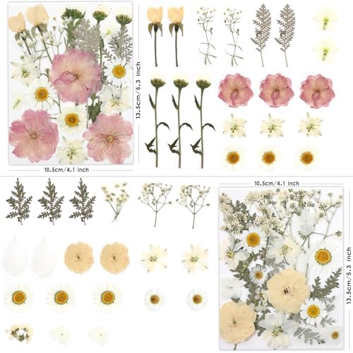 LUXEEASE 80P White Pink Dried Pressed Flowers | Ivory white palette, fits any project, blush butter hints, for wedding resin jewelry scrapbook frame decor, tweezers included