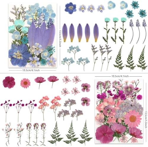 LUXEEASE 4 Color 110P Long Stem Dried Pressed Flowers | Long stems for line work, cut to any length, mixed tones, for resin scrapbook jewelry candle decor, tweezers included