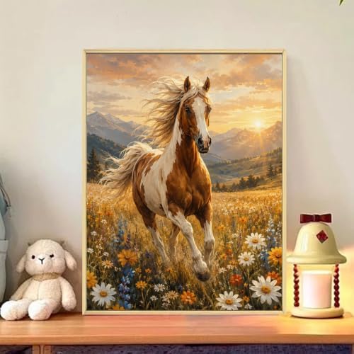 CRZMODE Horse Paint by Numbers Kit for Adults, Horse, 16x20 inch