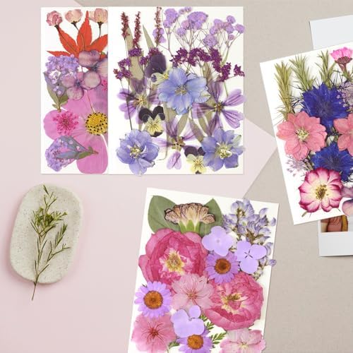 Dried Flowers for Resin Vacuum Packed DIY Pressed Flowers