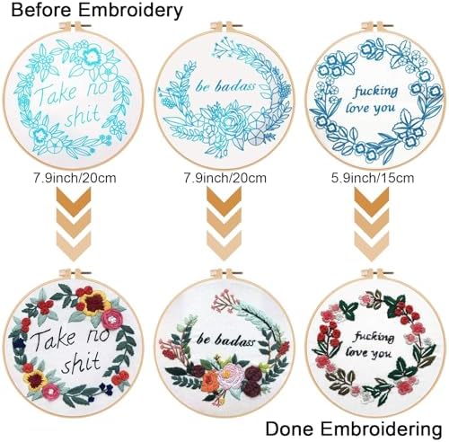 Louise Maelys 3 Pack Embroidery Kit for Beginners, Funny Quote Art