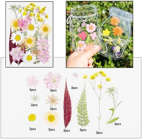 Cayway 170 PCS Dried Flowers for Resin, Real Nature Dried Pressed Flower Leaves for DIY Nail Art Cards Jewelry Making Epoxy Resin Molds Candle Accessories Floral Decors, Multicolor