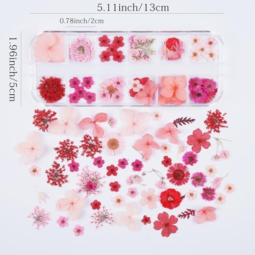 60Pcs Red Small Dried Pressed Flowers for Crafts,Xinxinran Mini Dry Flower Kit for Nail Art,Epoxy Resin Accessories,Bookmark,Nails, Jewelry Making,Candle,Soap,Resin Molds(1 Boxs)