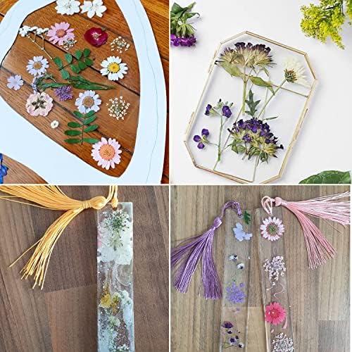 Cayway 40 Pcs Real Pressed Flowers Dry with Tweezers Set, Dried Flowers for Resin Scrapbooking DIY Art Crafts, Epoxy Resin Jewelry, Soap Making