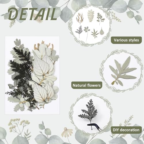 Timtin 84 Pieces Dried Pressed Leaves Dried Flowers for Resin Dried Leaves for Resin Mini Dried Flowers for Crafts Dried Greenery Assorted for Art DIY Handmade Bookmarks 4 Bags (Stylish Style)
