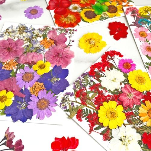 MIKIYA 101Pcs Pressed Dried Flowers for Resin Molds, Real Natural Bulk Dry Floral Leave for DIY Art Crafts, Epoxy Jewelry, Candle, Soap Making, Nails Decors