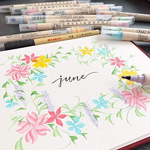 Kuretake Bimoji Fude Pen Fne, Hard brush tip,brush tip marking fude brush pen, for Calligraphy, lettering, illustration, Professional, Made in Japan
