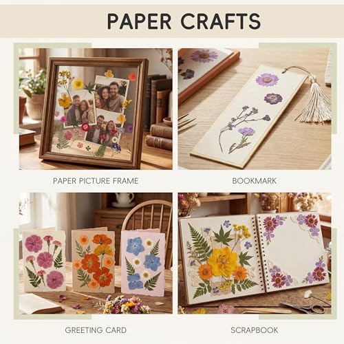 LUXEEASE 80P Vibrant Multicolor Dried Pressed Flowers | No matching needed, layered blooms sizes, orange purple red pink, for resin scrapbook candle decor, tweezers included
