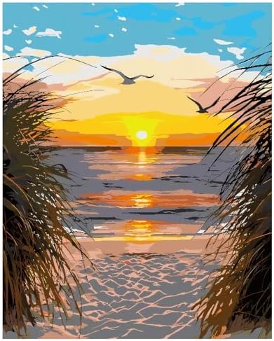 Paint by Numbers Kit for Adults, Beach Sunset Art for Beginners, 16x20 Inch