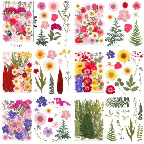 NESCCI 420 Pcs Dried Pressed Flowers for Resin,Real Nature Dried Flowers for Crafts Bulk Dry Flowers Leaves Kit Used for Resin Molds Scrapbooking DIY Art Crafts Candle Soap Making Nails Décor