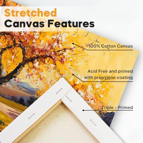 CONDA Large Stretched Canvas for Painting, 30x40 Inch 2 Pack Big Canvas, 100% Cotton, Primed Acid-Free, White Blank Stretched Canvas Boards Art Supplies for Acrylics, Oils Painting