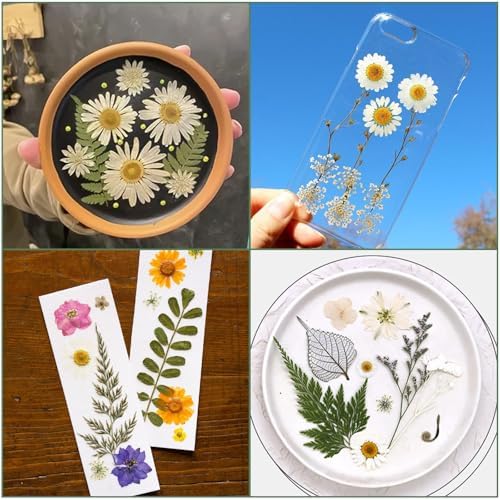 186 Pcs Dried Pressed Flowers for Resin Crafts, Real Natural Pressed Flowers and Leaves Kit Butterfly Stickers Vacuum Sealed Dry Flowers for DIY Epoxy Resin Jewelry Molds, Candle Soap Making, Nail Art