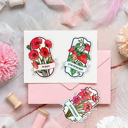 INFUNLY Spring Flower Clear Stamps and Dies Set Strawberry Fruits Floral Transparent Silicone Stamps Label Cutting Die for Card Making DIY Craft Scrapbooking Christmas Greeting Card Decor