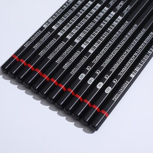 YYMIYU 12pcs Sketch Pencil Set 8B, 7B, 6B, 5B, 4B, 3B, 2B, B, HB, F, H, 2H, Ideal For Drawing Art, Sketching, Shading, Artist Pencils For Beginners & Pro Art