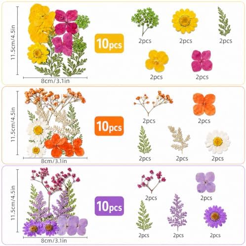 155 pcs Dried Flowers for Resin, Natural Flowers and Leaves Kit with Butterfly Stickers，Vacuum Sealed DIY Pressed Flowers for Jewelry Molds, Candle Soap Making, Scrapbook, Nail Art (Colorful-B)