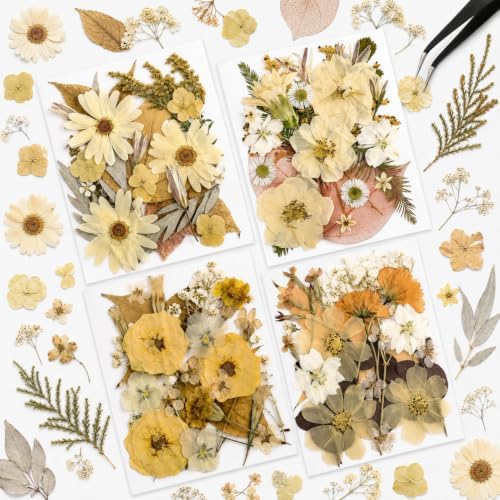 Nuanchu Boho Beige Dried Pressed Flowers for Craft Resin Mold, Vintage