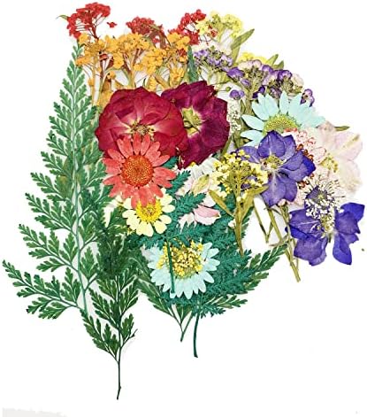 Cayway 40 Pcs Real Pressed Flowers Dry With Tweezers Set, Colorful Dried Flowers for Resin Scrapbooking, DIY Art Crafts, Epoxy Resin Jewelry, Soap Making