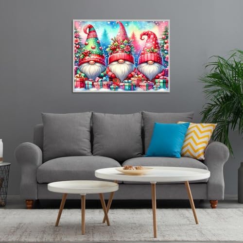 Diamond Art Kits for Adults Christmas Gnomes Diamond Painting Kit 12x16in