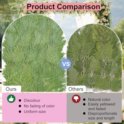 50Pcs Green Leaves Dried Pressed Flowers for Crafts,Xinxinran Ferns Dry Flower Kit for Wedding Invitation Accessories,Bookmark,Jewelry Molds,Candle Making Supplies,Soap,Frame
