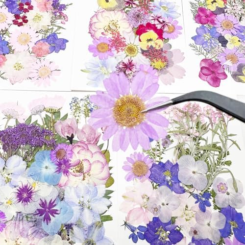 Cayway 170 PCS Real Nature Dried Pressed Flower Leaves, Pressed Flowers for Resin, Real Nature Pressing Floral Leaves for DIY Craft, Candle Scrapbooking Supplies, Purple
