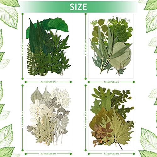 Timtin 84 Pcs Dried Pressed Leaves Flowers for Resin, Classic