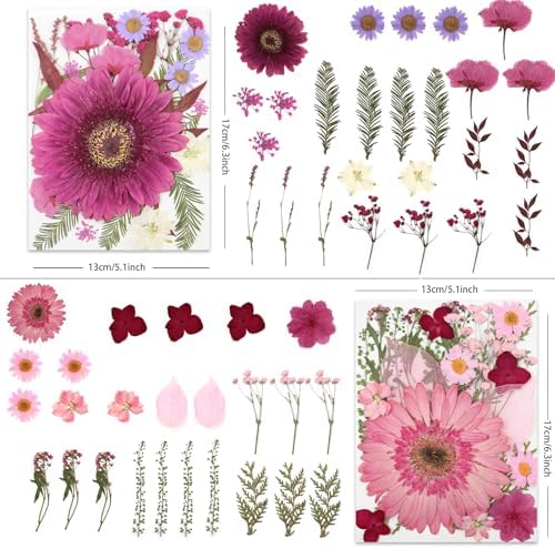 LUXEEASE 100P Vibrant Colors Large Dried Pressed Flowers | Gerbera daisy, real natural flowers, pink burgundy orange blue, for resin scrapbook jewelry frame decor, tweezers included