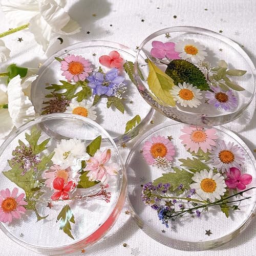 Silicone Resin Coaster Mold Set, 3.93-Inch Round, 0.82-Inch Deep Reusable Flexible Mold for Epoxy Resin Casting with 3 Tools, LeilieCSC