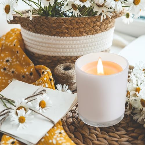 Thick Candle Jars for Making Candles 12 Pcs, 14 OZ Empty Jars with Wood Lids for Candle Making, Sample Container, Inner White