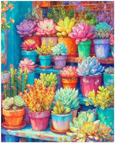 XTCIXAL Paint by Numbers Kit for Adults, Succulent - 16X20 Inch