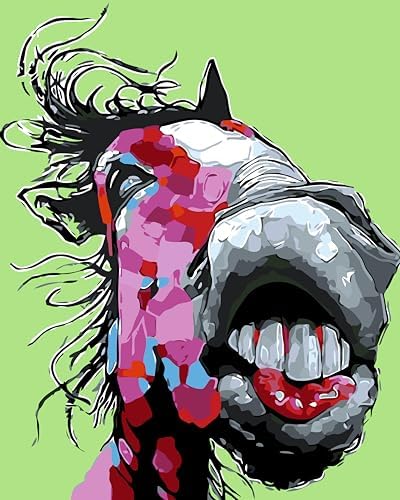 Paint by Numbers Kit for Adults Beginners,Abstract Horse(16x20 inches)