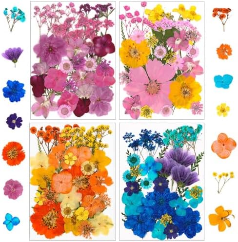 210 pcs Dried Flowers for Resin, Natural Flowers and Leaves Kit with Butterfly Stickers， Vacuum Sealed DIY Pressed Flowers for Jewelry Molds, Candle Soap Making, Scrapbook, Nail Art (Colorful-J)