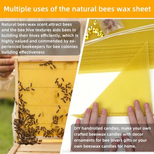 Lacaser Beeswax Sheets for Candle Making, Full Candle Making 50 Pcs Kit