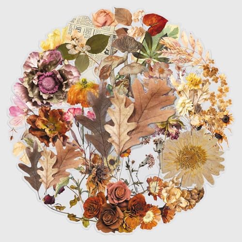 50PCS Withered Plants Stickers, Waterproof Vinyl PET Transparent Vintage Dried Flower Decals for Laptop, Luggage, Skateboard, Phone, Fridge, Trendy Stickers for Teens, Adults, Boys and Girls(withered)
