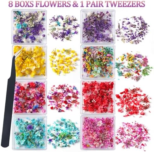 8 Boxs Dried Flowers for Nail Art,Colorful Mini Real Natural Flowers