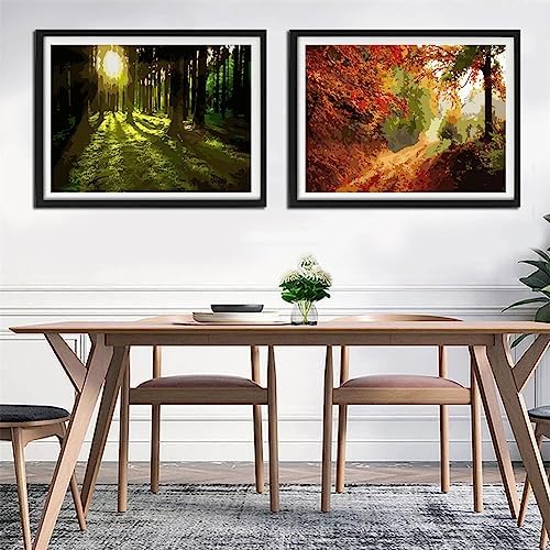 YANXIN Paint by Numbers Kit for Adults Beginners 2 Pack Paint by Numbers for Adults Rolled up Canvas for Home Decoration Creative Wall Art with Colorful Gift Box 12x16 inch Forest Sunrise 175-176