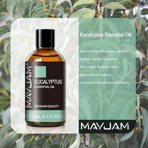 MAYJAM Eucalyptus Essential Oil for Diffuser Soap Candle Making, 1.01fl.oz