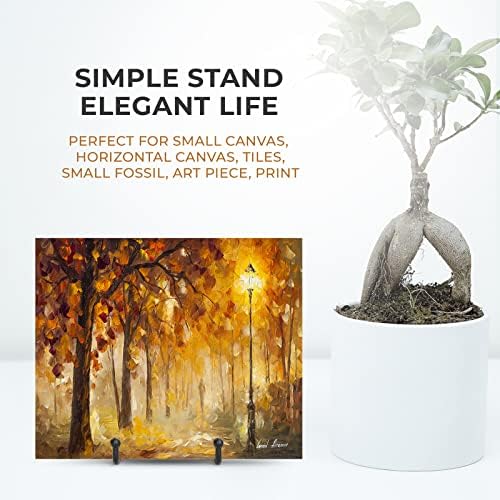 TR-LIFE 4 Pack 3 Inch Small Display Stands - Plate Holder Stand for Picture Frame, Book, Photo Easel (Black)