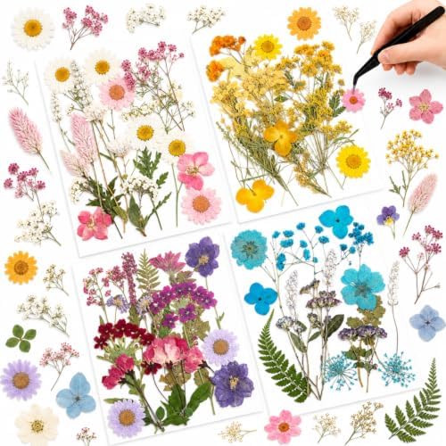 Nuanchu Dried Pressed Flowers for Resin,Delicate Style,Bright Colors